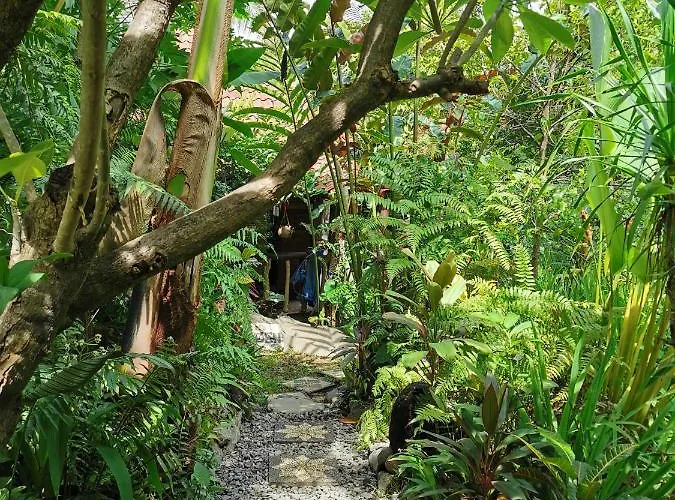 Les Garden Tejakula