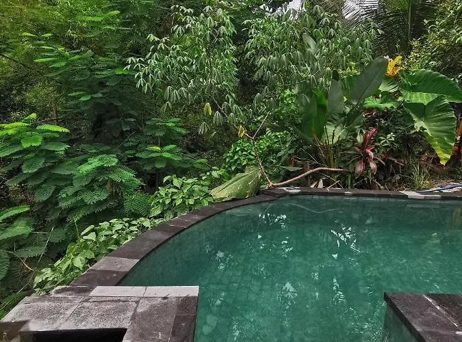 Les Garden Guest house 3*