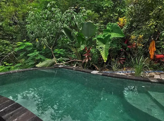 Guest house Les Garden 3*