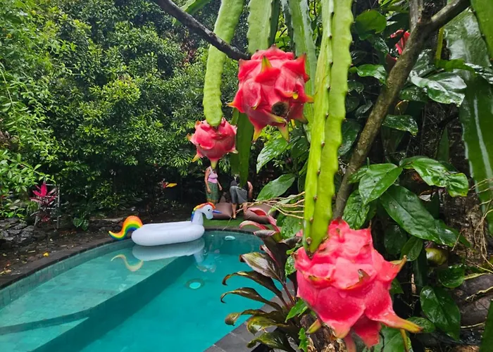 Les Garden Guest house Tejakula