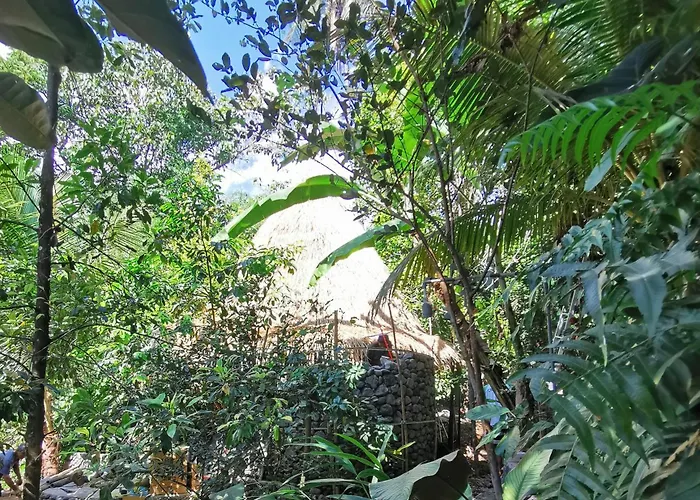 Les Garden Guest house