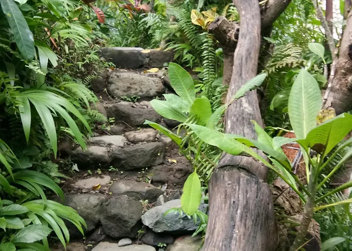 Les Garden Guest house